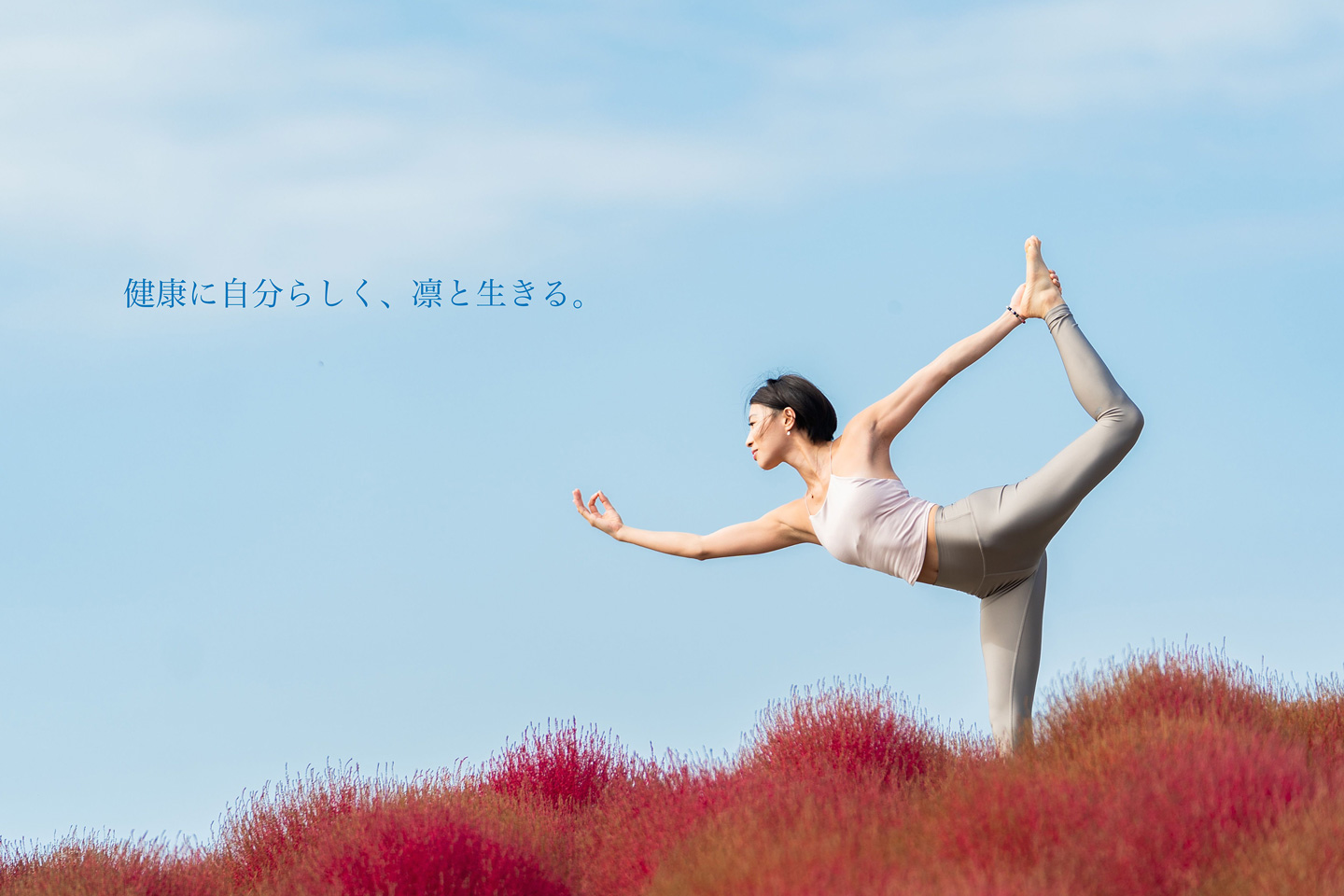 江戸川橋 早稲田 神楽坂のヨガスタジオ Y S Yoga Studio